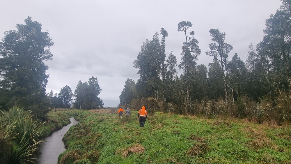 Hokitika planting project 2